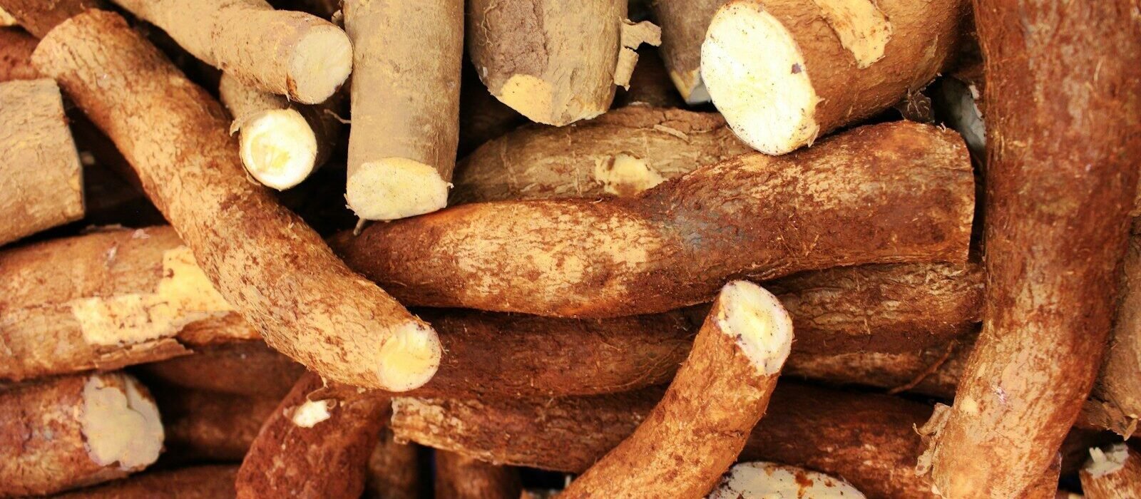 Bienfaits du manioc bouilli : ce que l’index glycémique ne vous dit pas