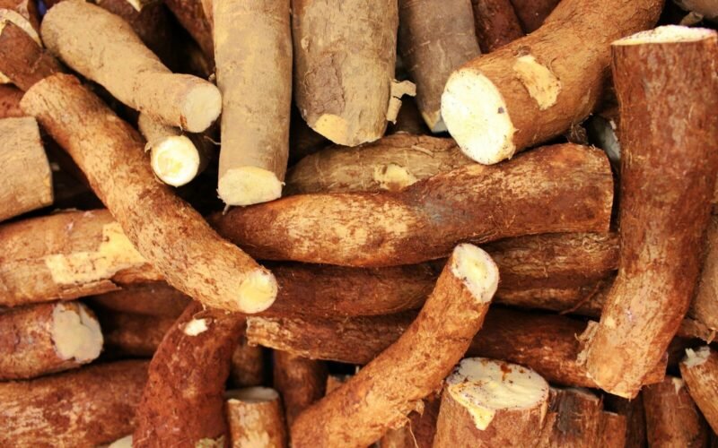 Bienfaits du manioc bouilli : ce que l&rsquo;index glycémique ne vous dit pas