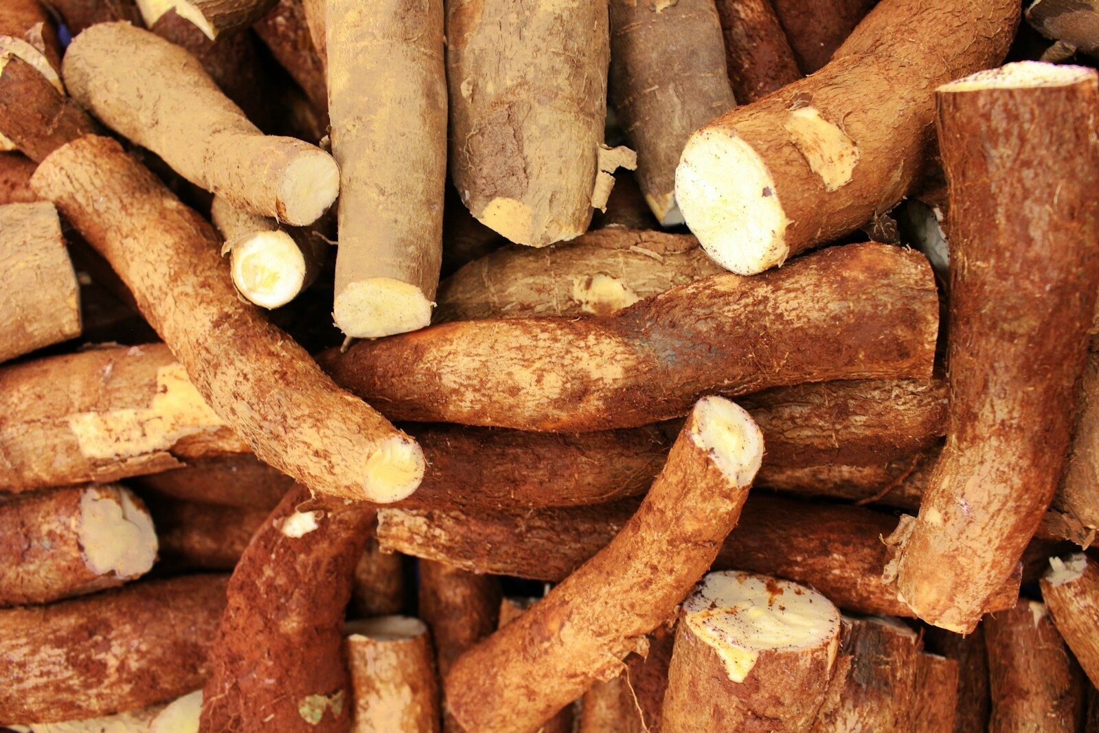 bienfaits du manioc bouilli