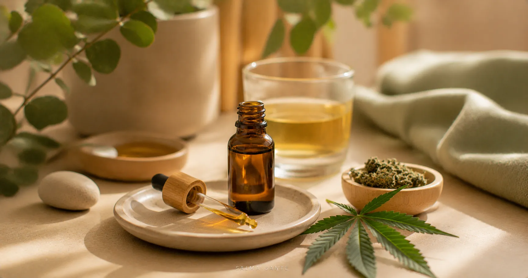 CBD thérapeutique salma santé